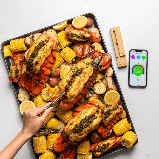 MEATER Plus Con Ripetitore Bluetooth® View 2